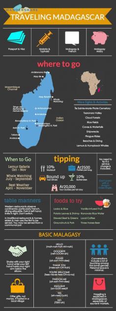
                    
                        Madagascar Travel Cheat Sheet; Sign up at www.wandershare.com for high-res images.
                    
                