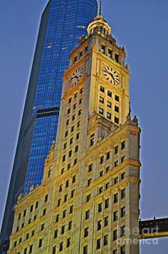 The Wrigley Building Photograph by Mary Machare