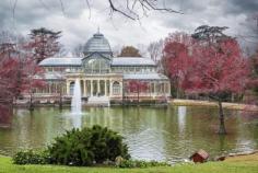 
                    
                        Palacio de Cristal, Parque del Retiro, #Madrid
                    
                