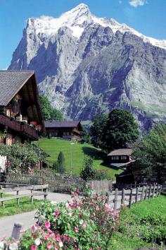 
                    
                        #Grindelwald #Swiss #alps
                    
                