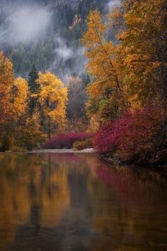 
                    
                        Cascade Mountains, Washington  David Forster
                    
                