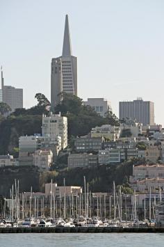 
                    
                        View of the Marina, San Francisco
                    
                
