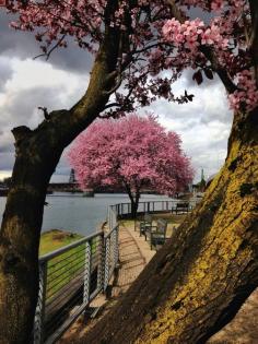 
                    
                        Portland - Oregon - USA (von Ian Sane)
                    
                