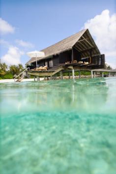 
                    
                        Reethi Rah Resort - The Maldives
                    
                