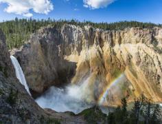 
                    
                        4 Things to Do in Yellowstone National Park with your kids
                    
                