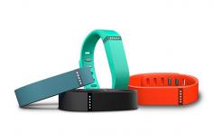 
                    
                        Fitbit Flex Activity Wristband
                    
                