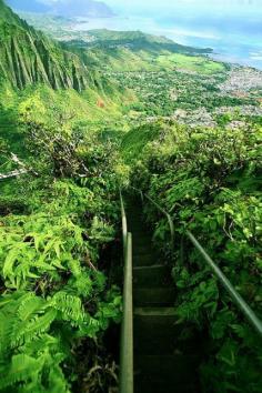 
                    
                        HAIKU STAIRS OF OAHU, HAWAII
                    
                