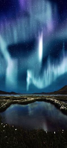 
                    
                        The Northern Light over the marsh landscape with wildflowers in Landmannarlaugar, Iceland    |    16 Reasons Why You Must Visit Iceland Right Now. Amazing no. #12
                    
                