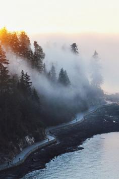 
                    
                        Seaside Trail, Stanley Park, Vancouver, Canada
                    
                