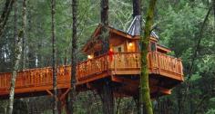 
                    
                        Bed and Breakfast located in Southern Oregon, near the Redwood Forest, the Oregon Caves, the beautiful Coastline
                    
                