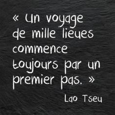 
                    
                        One of my favorite quotes in French! "The journey of a thousand miles begins with a single step."
                    
                