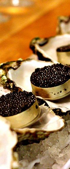 
                    
                        Caviar
                    
                