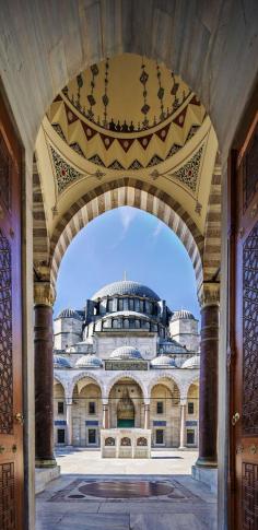 
                    
                        Famous Gate to Court Yard of Suleymaniye Mosque, Istanbul, Turkey  |   Top 11 Reasons to Visit Istanbul
                    
                
