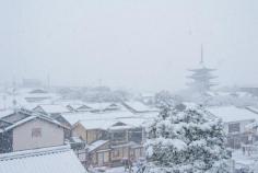 
                    
                        祇園雪
                    
                