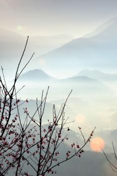 
                    
                        expressions-of-nature:  櫻花五城山景 by: balen55@Taiwan
                    
                