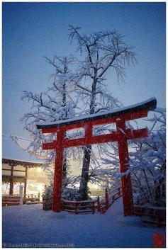 
                    
                        Night + winter in Shimogamo shrine
                    
                
