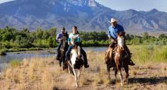 
                    
                        Adventures you can enjoy right now in New Mexico! - New Mexico Tourism - Travel & Vacation Guide~101 THINGS TO DO IN NEW MEXICO RIGHT NOW!
                    
                