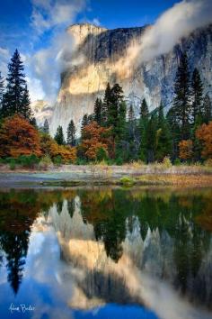 
                    
                        studioview: “head in the clouds by [Adam Baker] El Capitan behind fluffy clouds, Merced River reflection, Yosemite Valley, Tuolumne Meadows, California ”
                    
                