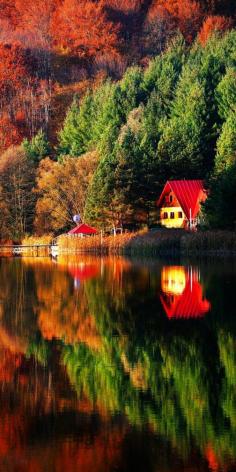 
                    
                        Beautiful Autumn Colors in Mehedinti Mountains, Romania
                    
                
