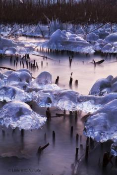 
                    
                        Ice trees in Bevaix, Neuchâtel, Switzerland
                    
                