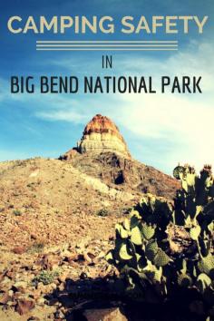 
                    
                        Big Bend National Park is beautiful, no doubt. It also can be dangerous, with abrupt thunderstorms, extreme heat, and various wild animals. Make sure you protect yourself by following these tips! (scheduled via www.tailwindapp.com
                    
                