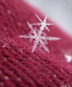 
                    
                        Snowflakes are an Endless Repetition of an Ordinary Miracle.
                    
                