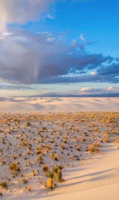 
                    
                        White Sands National Park, New Mexico
                    
                