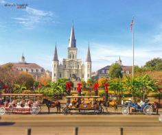 
                    
                        New Orleans: Travel and Tourism
                    
                
