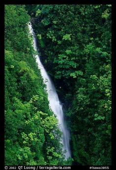 
                    
                        Kahuna Falls in a lush valley. Akaka Falls State Park, Big Island, Hawaii, USA
                    
                
