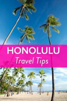 
                    
                        Travel Tips - Best Things to Do in Honolulu, Hawaii
                    
                