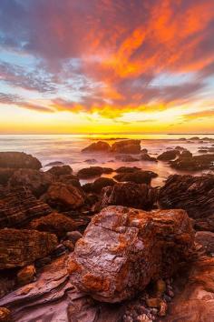 
                    
                        Corona del Mar, California Nhut Pham
                    
                