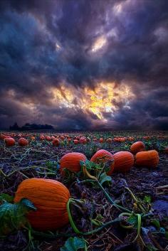 
                    
                        Halloween is Near by Phil~Koch on Flickr.
                    
                