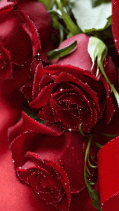 
                    
                        A Dozen Red Roses Delivered
                    
                