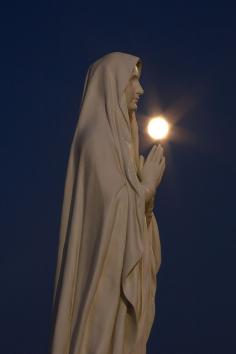
                    
                        Blessed Virgin Mary at Central Catholic High School, Bloomington, Illinois
                    
                