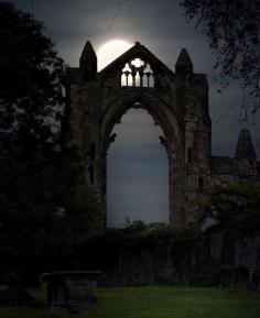 
                    
                        Moonlight at the priory, Guisborough / England (by Yorkshire Sam).
                    
                