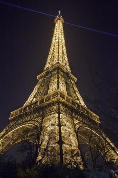 
                    
                        Night Eiffel
                    
                