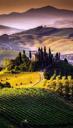 
                    
                        Beautiful Shot of Tuscany Landscape, Italy    |    15 Most Colorful Shots of Italy
                    
                