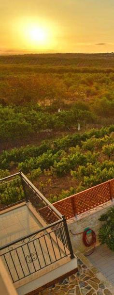 
                    
                        Warm sun above olive groves: Welcome to Crete #thehotelgr
                    
                