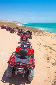 
                    
                        Go quad biking in Coral Bay, Western Australia - awesome fun and scenery!
                    
                