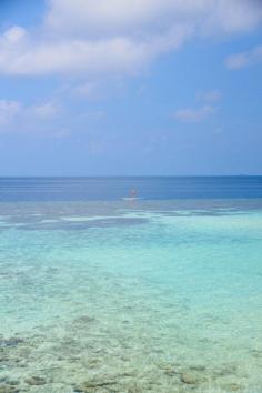 
                    
                        W Retreat Maldives - Fesdhoo Island
                    
                