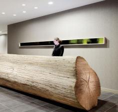 
                    
                        WOW Hotels: The reception desk of The Hotel Paradox in Santa Cruz, CA Hotel is a 25-foot-long, eucalyptus log.
                    
                