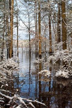 
                    
                        Dusting of Snow, Jordan Lake, central North Carolina
                    
                