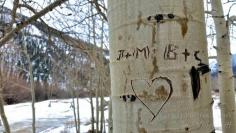 
                    
                        A heart carved in an Aspen tree in Colorado
                    
                