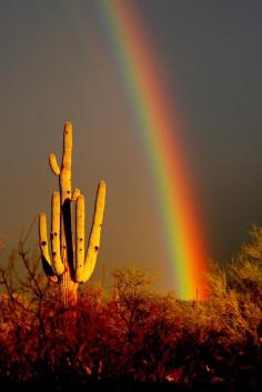 
                    
                        Desert Rainbow Photograph  - Desert Rainbow Fine Art Print
                    
                