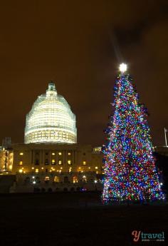 
                    
                        The Capitol Building at Christmas - Things to see in Washington DC
                    
                