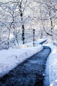 
                    
                        Snowy Path by AmalgamaPhoto
                    
                