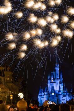 
                    
                        See the Disney World Fireworks in Orlando
                    
                