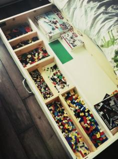 
                    
                        Built a Lego storage unit on casters to roll under the bed. hative.com/...
                    
                