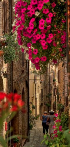 
                    
                        Strolling on the beautiful streets of Spello in Umbria, Italy • photo: Luca Ternelli on Flickr
                    
                