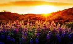 Baker Beach in San Francisco - Trey Ratcliff.